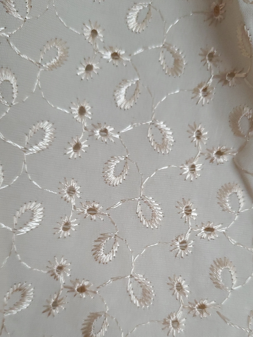 Cream Color Eyelet Cropped Top     Button-Front - Picture 4 of 7